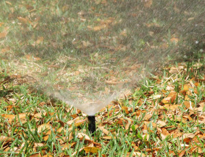 a sprinkler spraying water onto grass