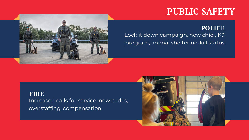 Seguridad pública: policía y bomberos
