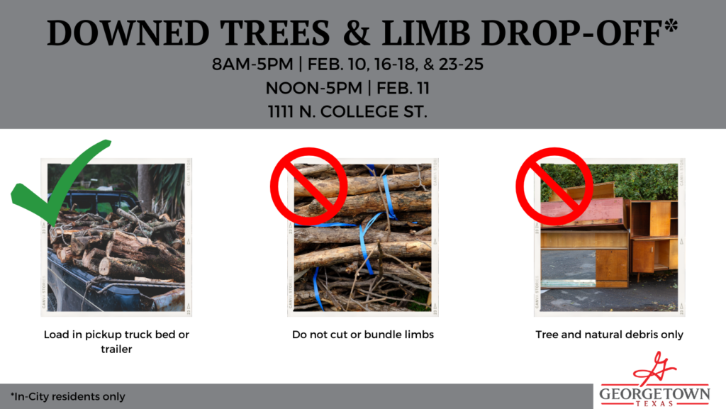 Down trees and limb drop off details