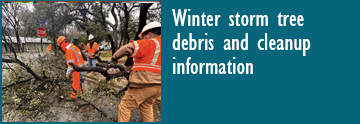 Escombros de árboles de tormentas de invierno e información de limpieza
